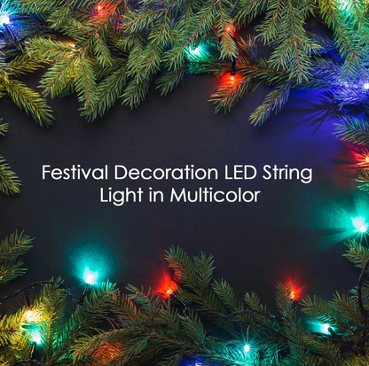 4 Meter Decoration LED String Light in Multicolour